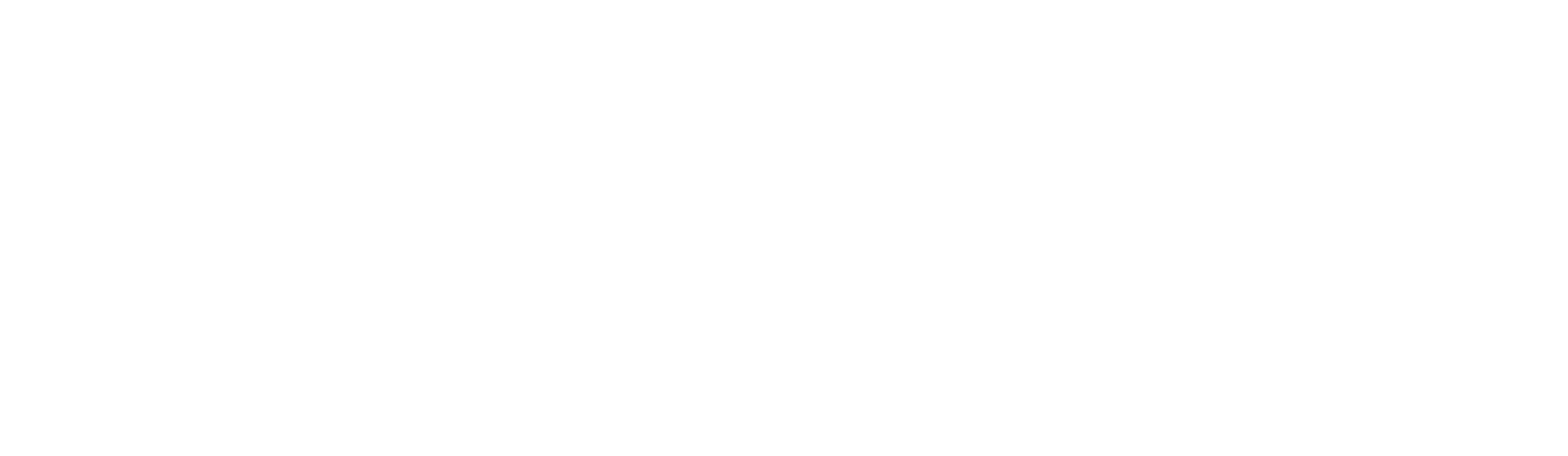 North Pines Dentistry_Logo_white